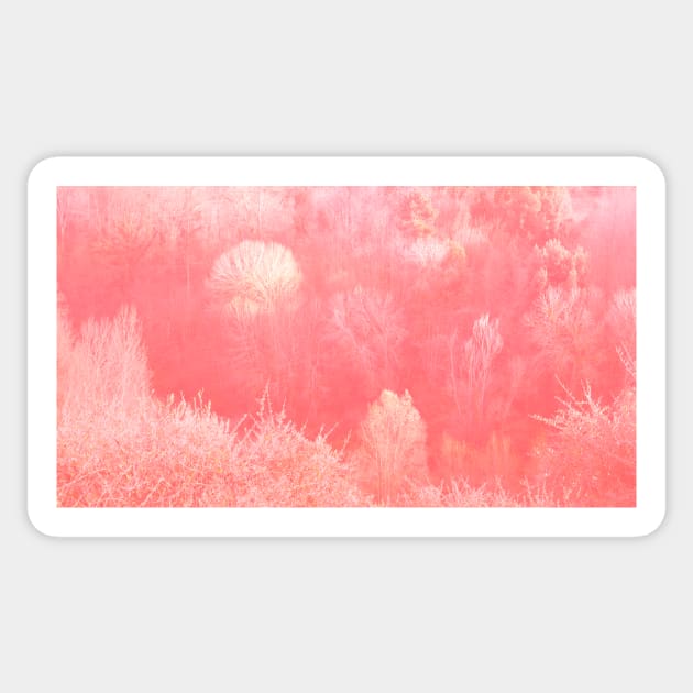 Magic pastel pink woodland. Forest in Living Coral pantone color of the year 2019 Sticker by Reinvention